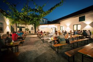  at Das Weinstein - Weingut Bischof in Nappersdorf