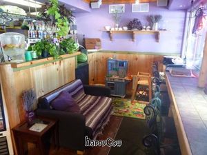 snuggle up our new couch as you enjoy your latte or watch the birds outside from our bar  at Simple Bliss Cafe in South Lake Tahoe