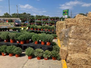  at Produce Junction in Bensalem