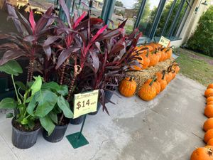  at Produce Junction in Bensalem