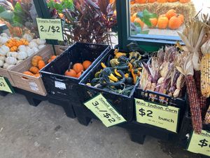  at Produce Junction in Bensalem