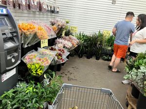  at Produce Junction in Bensalem