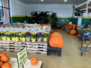  at Produce Junction in Hatboro