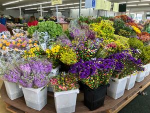  at Produce Junction in Hatboro