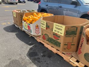  at Produce Junction in Hatboro