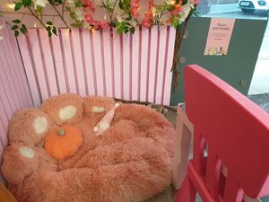 Dog friendly place #Veganuary at Cream Dream in London