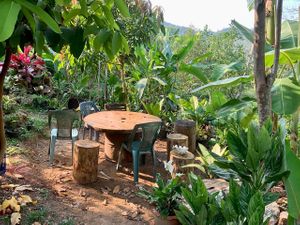  at Ronnie's Organic Coconut Garden in Koh Chang