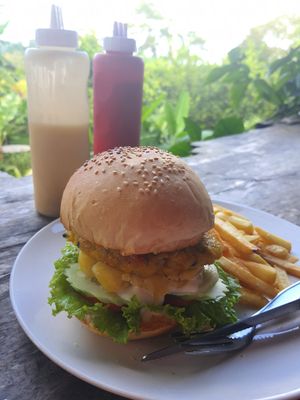  at Ronnie's Organic Coconut Garden in Koh Chang