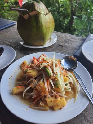  at Ronnie's Organic Coconut Garden in Koh Chang