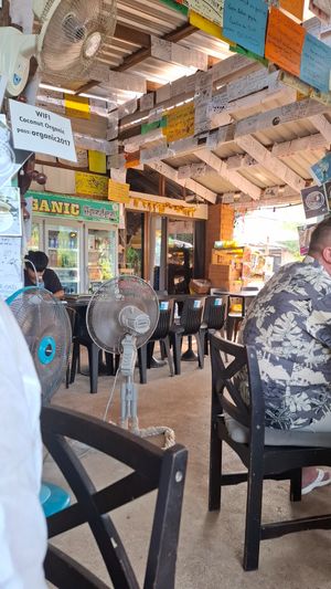  at Ronnie's Organic Coconut Garden in Koh Chang