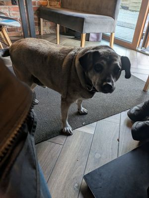  at Restauracja Food Makerzy Kluszkowce in Kluszkowce