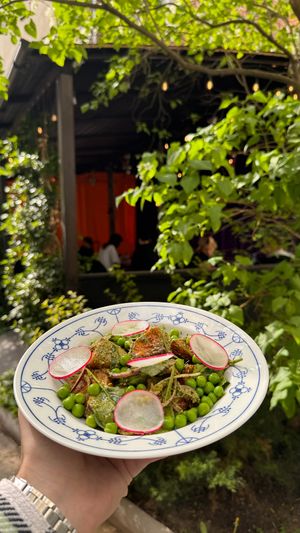 Our vegan spring salad tastes the best in our garden! at Butero in Warsaw