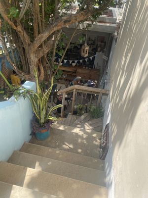   at El Meraki in Isla Mujeres