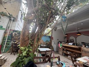   at El Meraki in Isla Mujeres