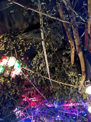 Tall trees decor, the picture doesn't do it justice! at Hank's Dirty in Cambridge