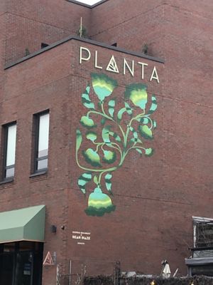 Exterior   at PLANTA in Brooklyn