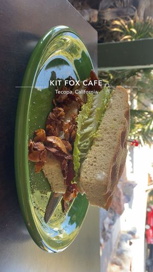   at The Kit Fox Cafe in Tecopa