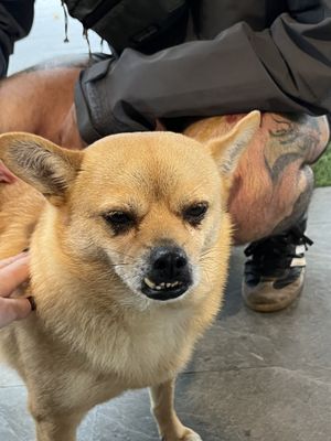   at Trang An Riverside Garden in Ninh Binh