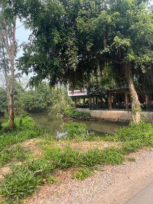   at Trang An Riverside Garden in Ninh Binh
