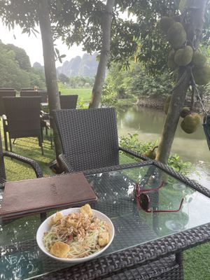 tofu papaya salad.  perfect   at Trang An Riverside Garden in Ninh Binh