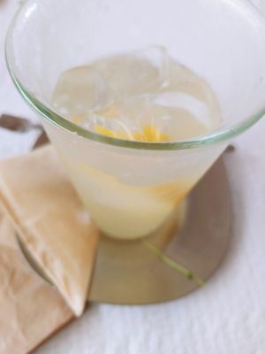 Fermented lemonade at Ferments - 퍼멘츠 in Seoul