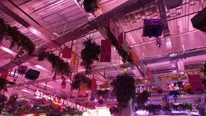 Atmosphere at Antojitos - Edinburgh Street Food in Edinburgh