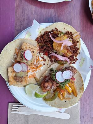 Trio of tacos at Antojitos - Edinburgh Street Food in Edinburgh