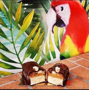 "snickers" ice cream bar (vanilla, caramel, peanuts, chocolate) at LA RAWTISSERIE in Antibes