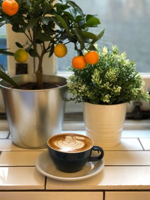  at Marquise Coffee Shop in London