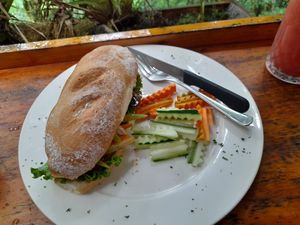 Vegan sandwich at Raices in Puntarenas
