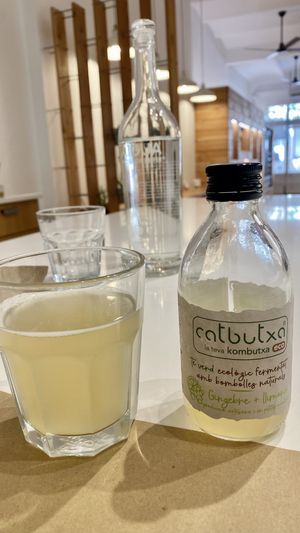 CatButxa llimona ginger at Bionectar in Girona