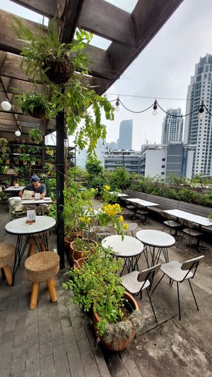  at Hause Rooftop Kitchen in Jakarta