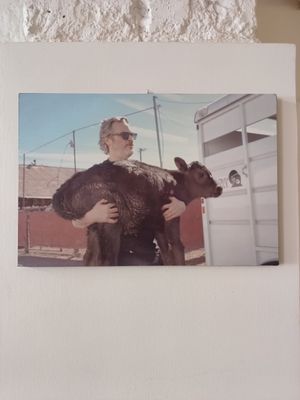 Nice picture of a animals hero at Ops Cucina Mediterranea in Rome