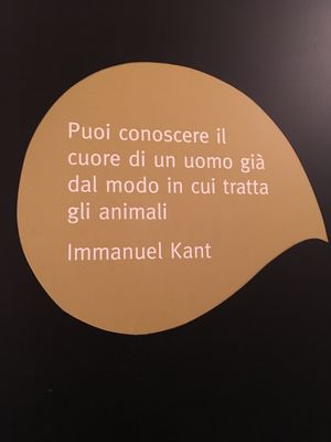 Sur le mur du restaurant  at Ops Cucina Mediterranea in Rome