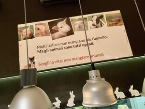 inside at Ops Cucina Mediterranea in Rome