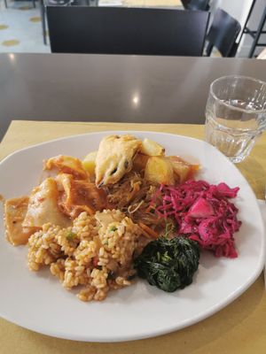 Mixed plate from the vegan buffet (risotto, purple coleslaw, fried vegetables, vegan lasagna, soy sauce noodles, baked potatoes, sautéed spinach) delicious at Ops Cucina Mediterranea in Rome
