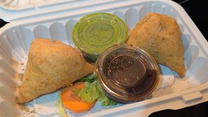 Veg samosas at 5th Element in Palm Coast