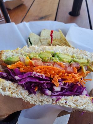 vegetable crunch sandwich at Sprouts Natural Foods Cafe in South Lake Tahoe