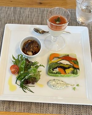 Vegetable terrine with 12 vegetables, dill soy mayonnaise, chili concan, salad with koji dressing, cauliflower mousse with rhubarb sauce. Garnish is celery leaf and flower.    at Pas a Pas in Miyota