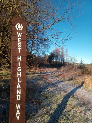 West Highland Way  at Greenstone Lodge  in Bridge Of Orchy