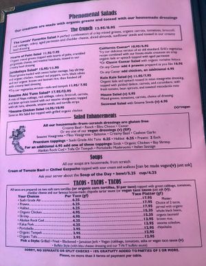 Lunch menu.  Note the (v) vegan options and the separate fryers  at Freshies Restaurant and Bar in South Lake Tahoe