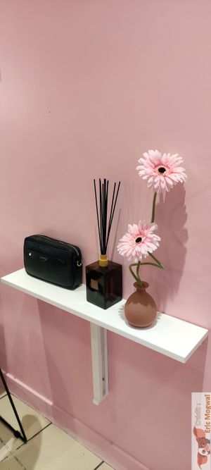 VEgan bag as deco at Veg'Anne By Anne Dorcay in Paris