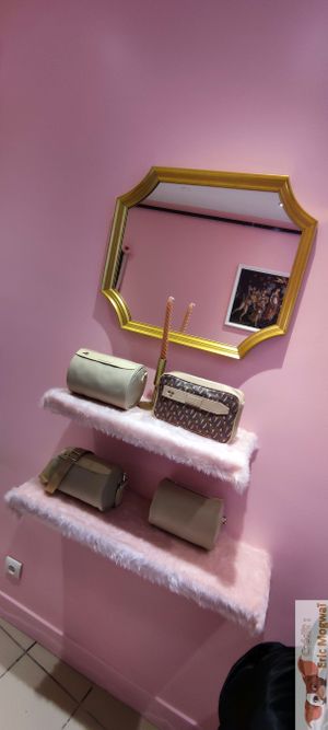 VEgan bag as deco at Veg'Anne By Anne Dorcay in Paris