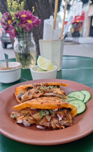 Quesabirria 😋❤️🍴🙌🏻 at Sarumino in Mexico City