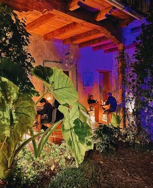 Mesas de noche  at Tsunun Cocina Experimental in San Cristobal De Las Casas