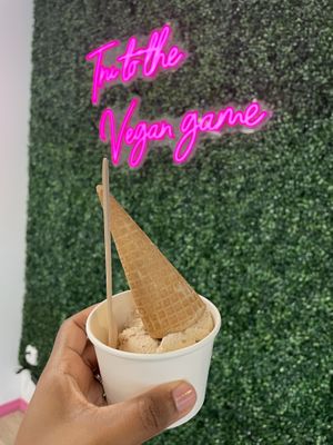Butter pecan with cone  at Tru Vegan Creamery in Tampa