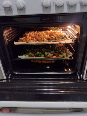  at De Otter in Leiden