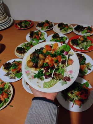 Healthy and tasty salad from salvaged market veggies at De Otter in Leiden