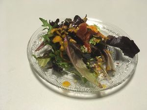 Green leaf salad with concentrated citrus sauce  at De Otter in Leiden