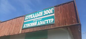  at Burkhadyn Zoog - Бурхадын зоог in Ulaanbaatar